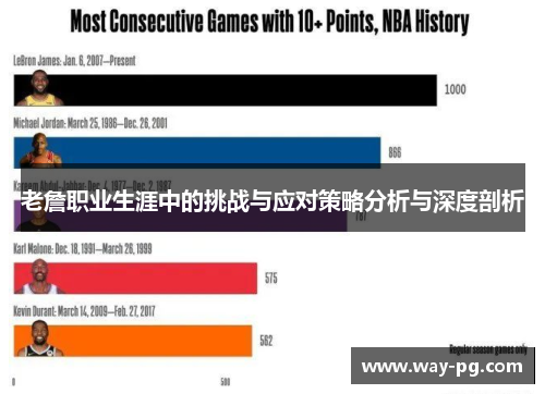 老詹职业生涯中的挑战与应对策略分析与深度剖析