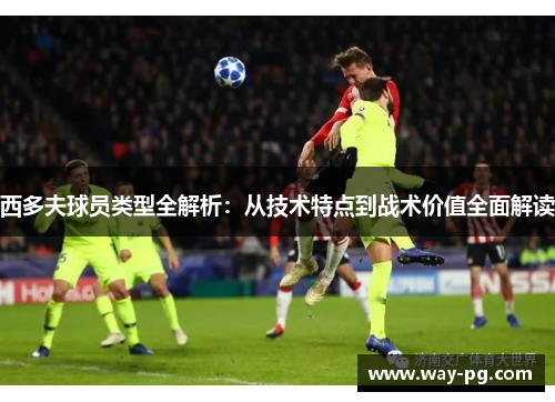 西多夫球员类型全解析:从技术特点到战术价值全面解读 西多夫球员类型全解析:从技术特点到战术价值全面解读