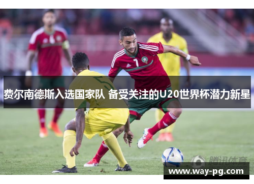 费尔南德斯入选国家队 备受关注的U20世界杯潜力新星