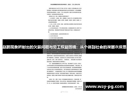 赵鹏现象折射出的欠薪问题与劳工权益困境：从个体到社会的深层次反思