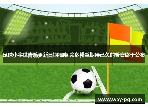足球小将世青篇更新日期揭晓 众多粉丝期待已久的答案终于公布