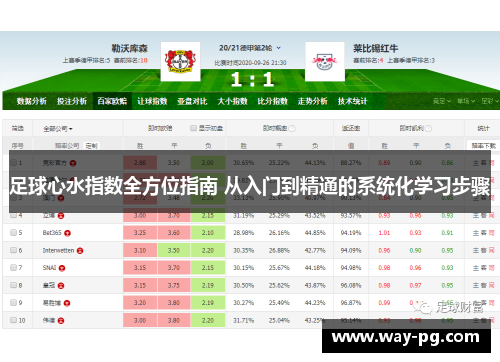 足球心水指数全方位指南 从入门到精通的系统化学习步骤