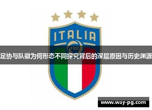 足协与队徽为何形态不同探究背后的深层原因与历史渊源