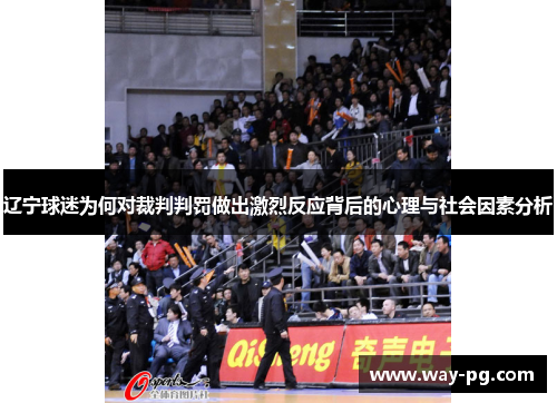 辽宁球迷为何对裁判判罚做出激烈反应背后的心理与社会因素分析