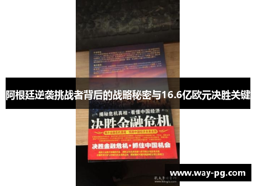 阿根廷逆袭挑战者背后的战略秘密与16.6亿欧元决胜关键 阿根廷逆袭挑战者背后的战略秘密与16.6亿欧元决胜关键