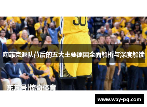 陶菲克退队背后的五大主要原因全面解析与深度解读 陶菲克退队背后的五大主要原因全面解析与深度解读
