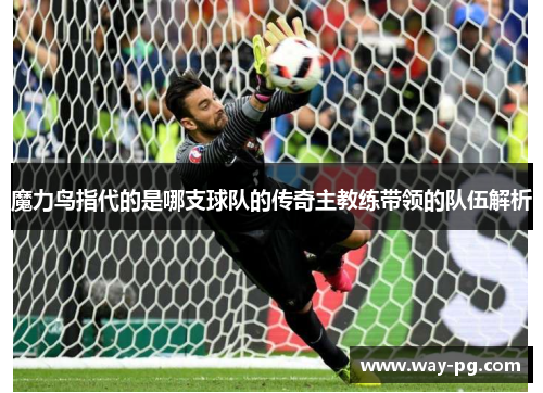 魔力鸟指代的是哪支球队的传奇主教练带领的队伍解析