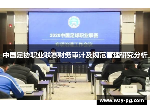 中国足协职业联赛财务审计及规范管理研究分析