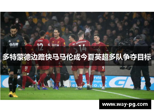 多特蒙德边路快马马伦成今夏英超多队争夺目标