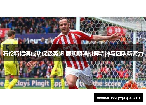 布伦特福德成功保级英超 展现顽强拼搏精神与团队凝聚力