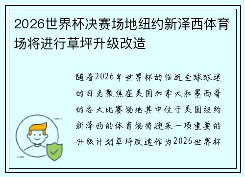 2026世界杯决赛场地纽约新泽西体育场将进行草坪升级改造