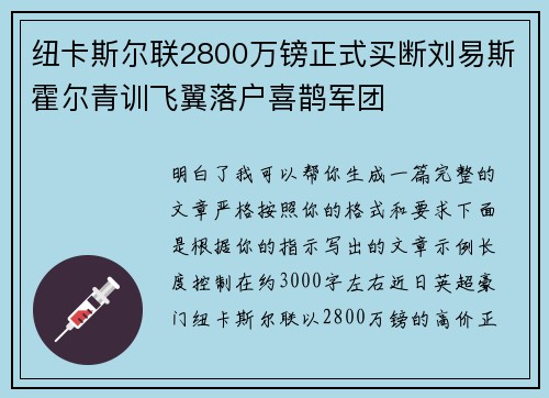 纽卡斯尔联2800万镑正式买断刘易斯霍尔青训飞翼落户喜鹊军团